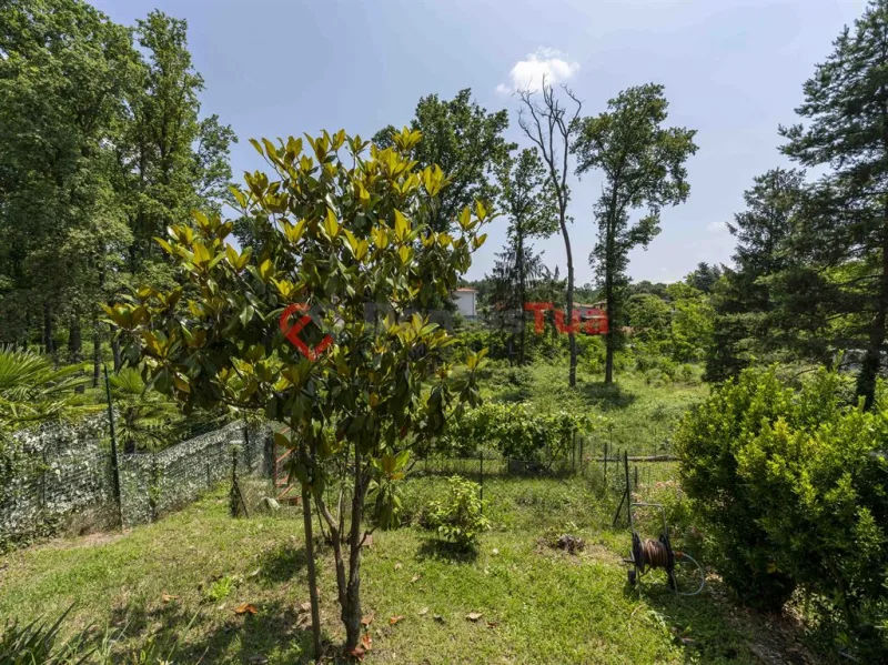 VILLETTA A SCHIERA CON AMPIO GIARDINO E BOX DOPPIO — foto 41