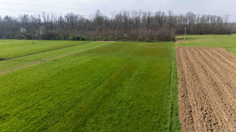 Terreno agricolo di 1130 mq — foto 3