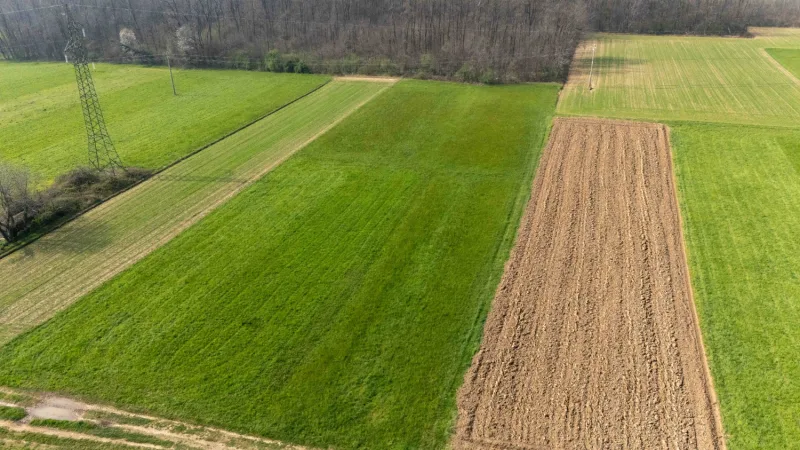 Terreno agricolo di 1130 mq — foto 5