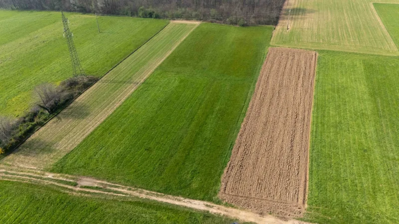 Terreno agricolo di 1130 mq — foto 6