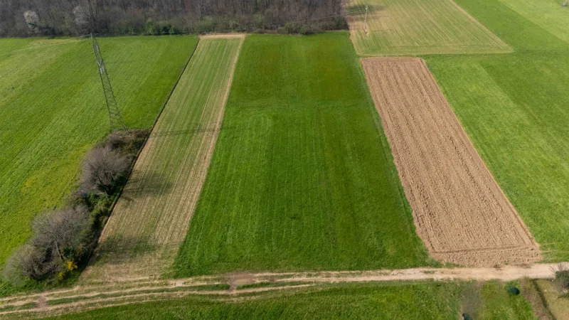 Terreno agricolo di 1130 mq — foto 7