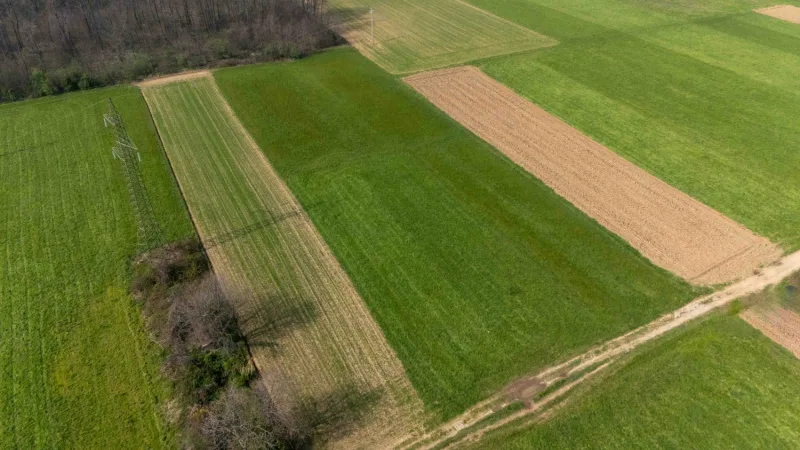 Terreno agricolo di 1130 mq — foto 8