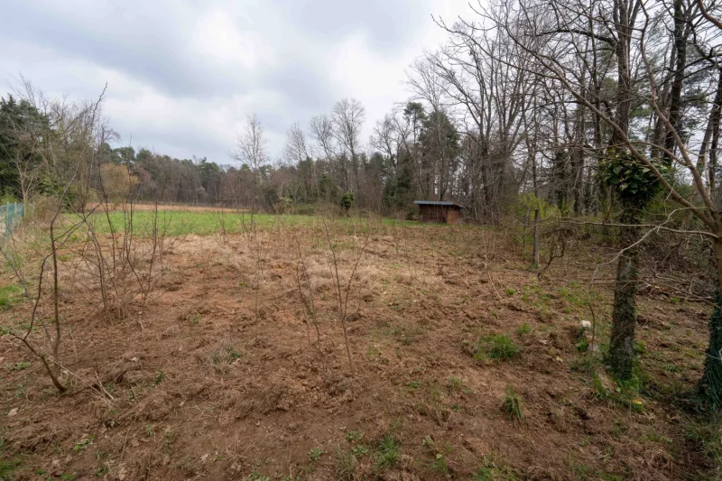 Terreno agricolo di 2230  mq - recintato — foto 17