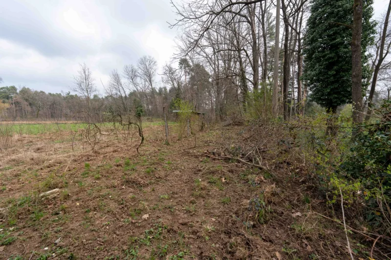 Terreno agricolo di 2230  mq - recintato — foto 19