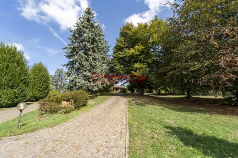 SPLENDIDA VILLA DA VIVERE SUBITO IMMERSA NEL VERDE — foto 17