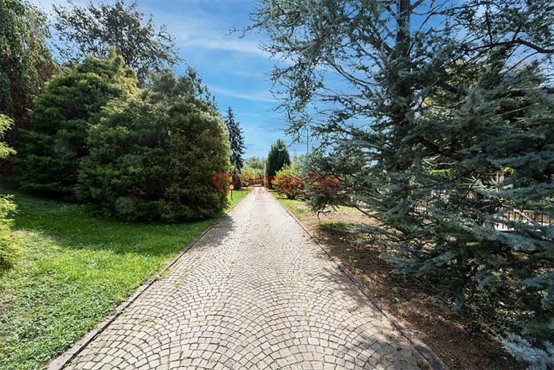 SPLENDIDA VILLA DA VIVERE SUBITO IMMERSA NEL VERDE — foto 33