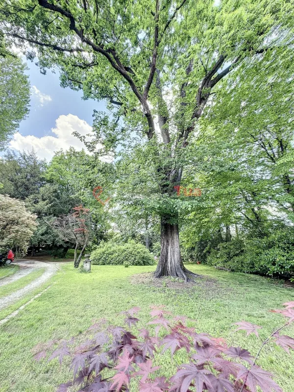 SPETTACOLARE DIMORA STORICA IMMERSA NEL VERDE — foto 24