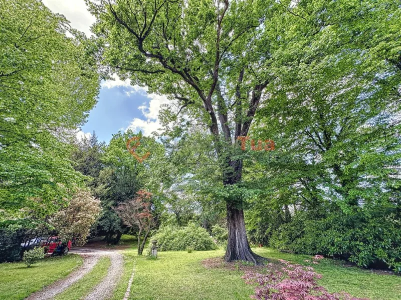 SPETTACOLARE DIMORA STORICA IMMERSA NEL VERDE — foto 26